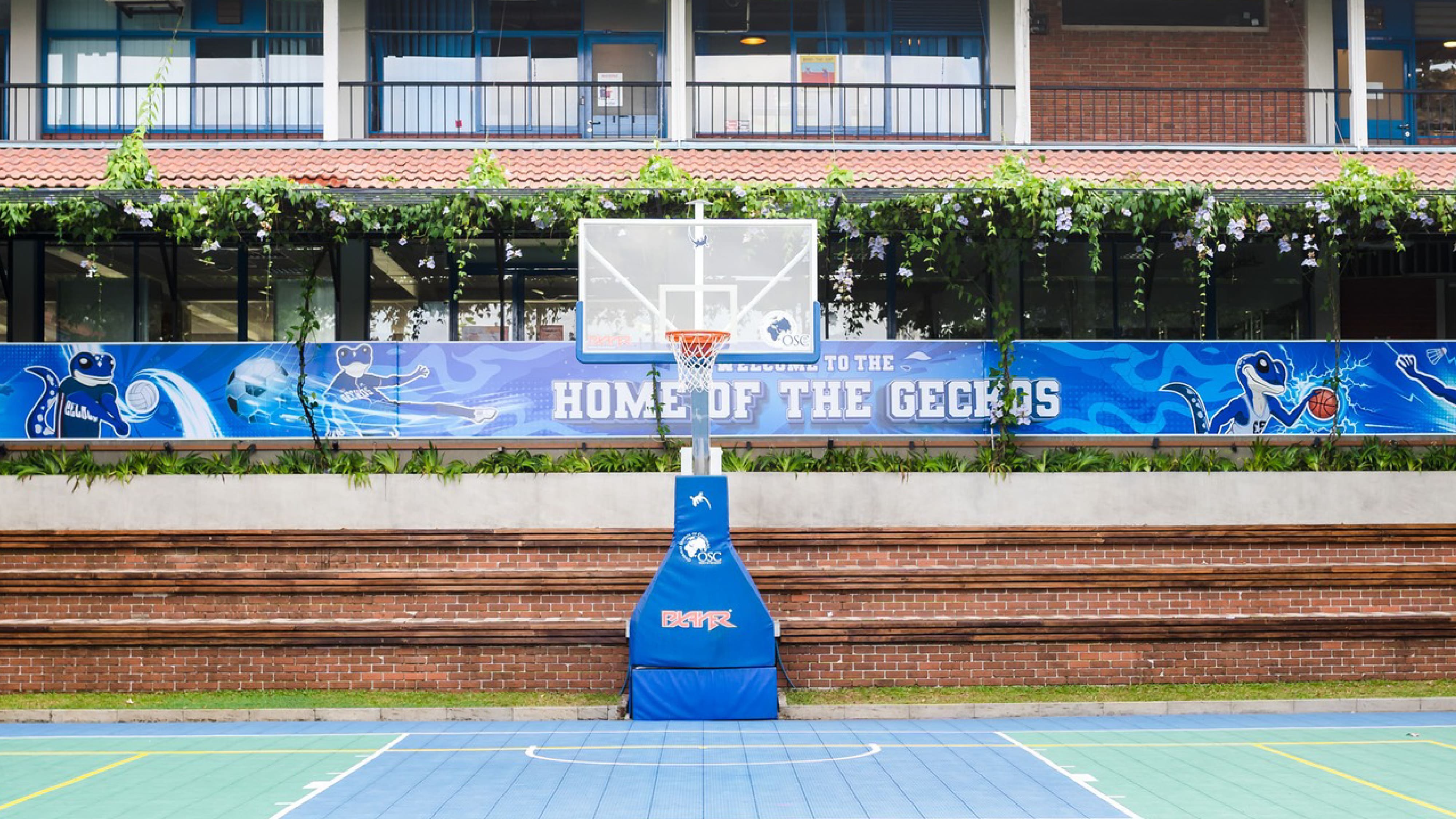 Home of the Geckos_Basketball Court